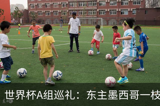 世界杯A组巡礼：东主墨西哥一枝独秀 韩国有望突破历史