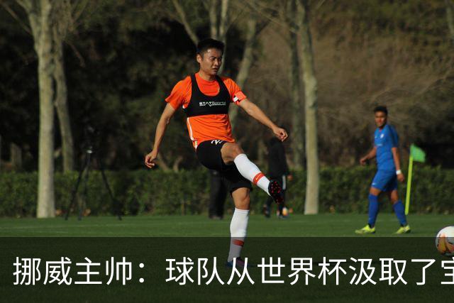 挪威主帅：球队从世界杯汲取了宝贵的经验，能在欧洲杯再攀高峰
